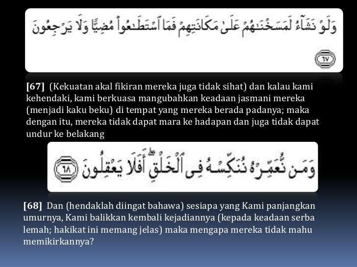 download pdf surah yasin dan terjemahan